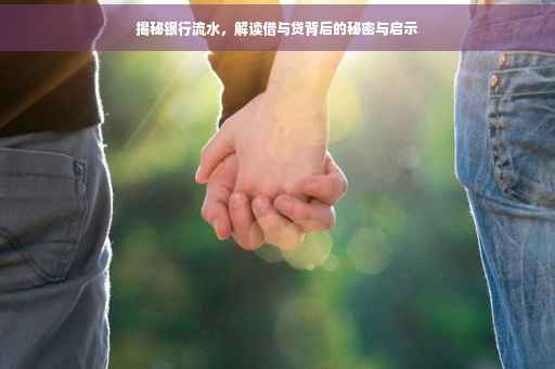 揭秘银行流水，解读借与贷背后的秘密与启示