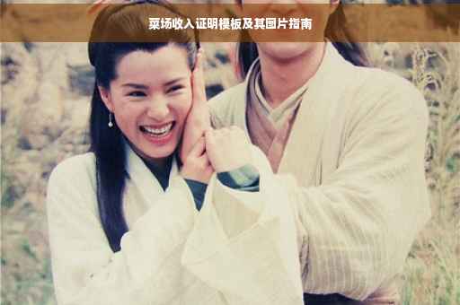 菜场收入证明模板及其图片指南