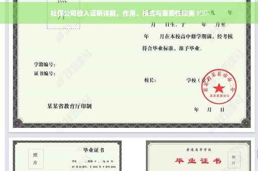 社保公司收入证明详解，作用、格式与重要性指南 ?⚡️
