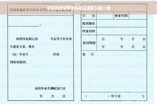 违纪违法证明书与违法违规记录一览