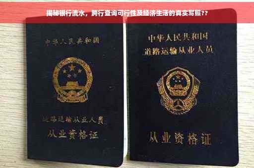 揭秘银行流水，跨行查询可行性及经济生活的真实写照??