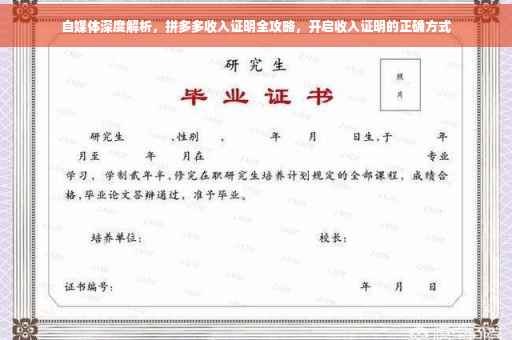 自媒体深度解析，拼多多收入证明全攻略，开启收入证明的正确方式