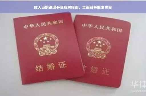 收入证明遗漏开具应对指南，全面解析解决方案
