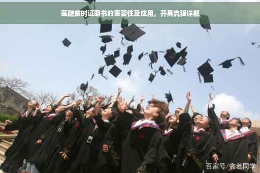 医院临时证明书的重要性及应用，开具流程详解