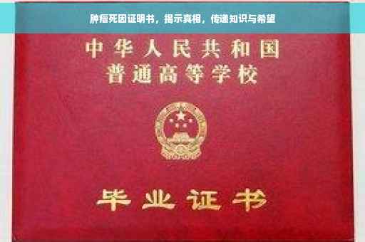 肿瘤死因证明书,揭示真相,传递知识与希望 肿瘤死因证明书,揭示真相,传递知识与希望