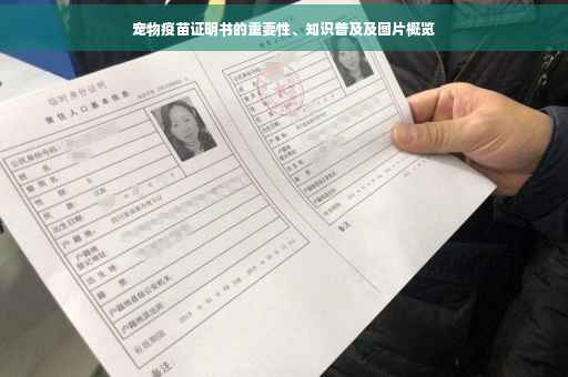 宠物疫苗证明书的重要性、知识普及及图片概览