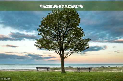 母亲去世证明书及死亡证明声明