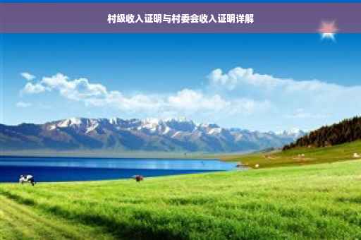 村级收入证明与村委会收入证明详解