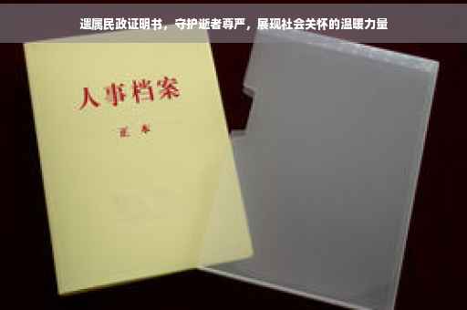 遗属民政证明书，守护逝者尊严，展现社会关怀的温暖力量
