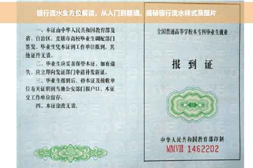 银行流水全方位解读，从入门到精通，揭秘银行流水样式及图片