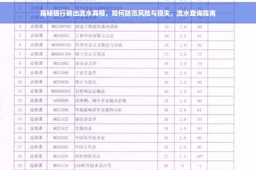 揭秘银行转出流水真相，如何防范风险与损失，流水查询指南