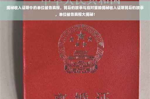 揭秘收入证明中的单位被告真相，背后的故事与应对策略揭秘收入证明背后的故事，单位被告真相大揭秘！