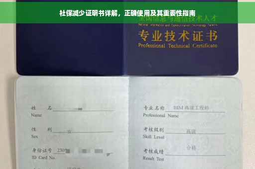 社保减少证明书详解，正确使用及其重要性指南