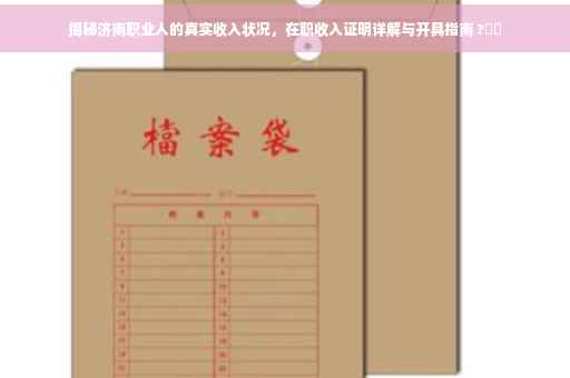 揭秘济南职业人的真实收入状况，在职收入证明详解与开具指南 ?⚡️
