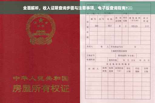 全面解析，收入证明查询步骤与注意事项，电子版查询指南?⚡️