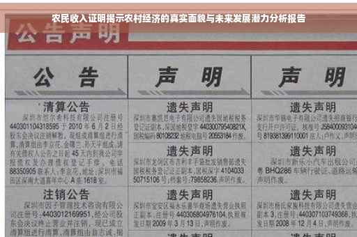 农民收入证明揭示农村经济的真实面貌与未来发展潜力分析报告