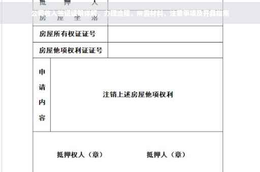 公司收入签证证明详解，办理流程、所需材料、注意事项及开具指南