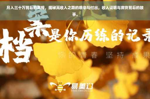 月入三十万背后的真相，揭秘高收入之路的艰辛与付出，收入证明与房贷背后的故事。