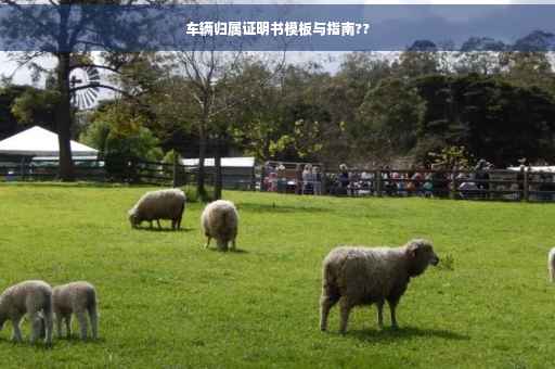 车辆归属证明书模板与指南??