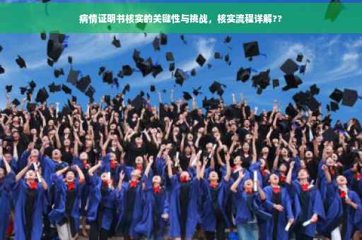 病情证明书核实的关键性与挑战，核实流程详解??