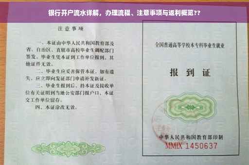 银行开户流水详解，办理流程、注意事项与返利概览??