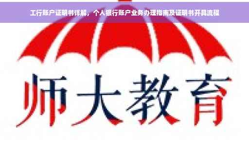 工行账户证明书详解，个人银行账户业务办理指南及证明书开具流程
