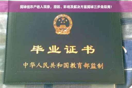 揭秘低农户收入现象，原因、影响及解决方案揭秘三步走指南！