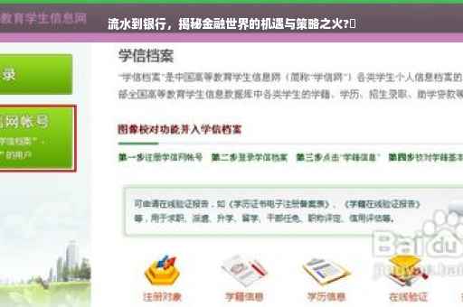 流水到银行，揭秘金融世界的机遇与策略之火?✨