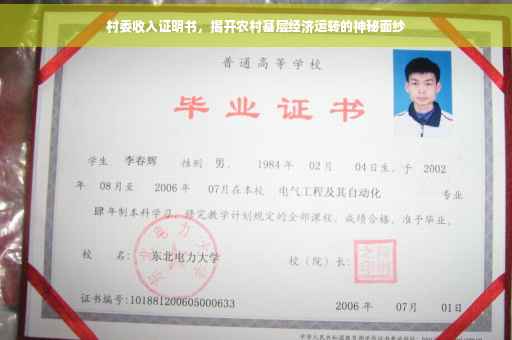 村委收入证明书，揭开农村基层经济运转的神秘面纱