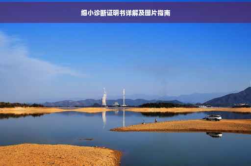 细小诊断证明书详解及图片指南