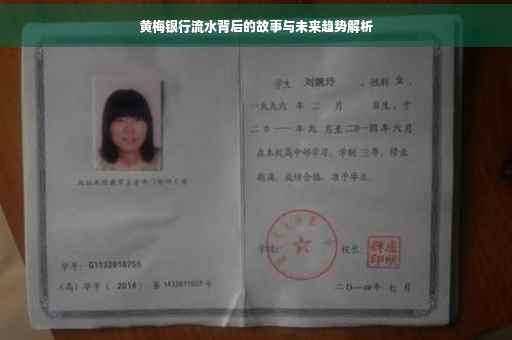 黄梅银行流水背后的故事与未来趋势解析