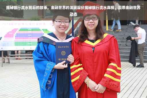 揭秘银行流水背后的故事，金融世界的波澜起伏揭秘银行流水真相，洞悉金融世界动态