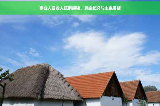 事业人员收入证明揭秘，真实状况与未来展望