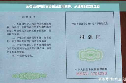 索偿证明书的重要性及应用解析，从通知到实践之路
