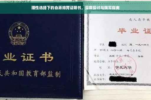 理性选择下的自愿绝育证明书，深度探讨与撰写指南