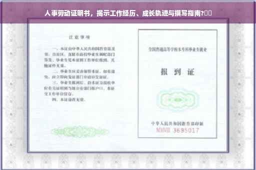 人事劳动证明书，揭示工作经历、成长轨迹与撰写指南?⚡️