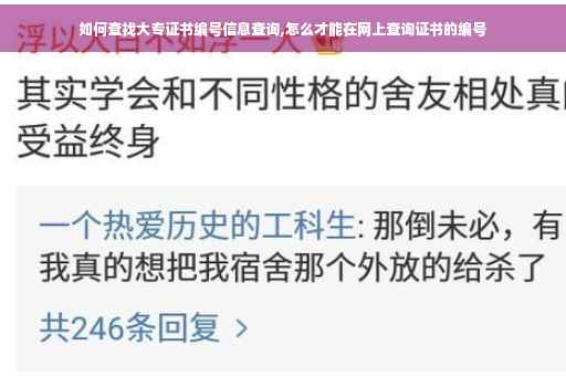 如何查找大专证书编号信息查询,怎么才能在网上查询证书的编号