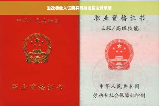 发改委收入证明开具指南及注意事项