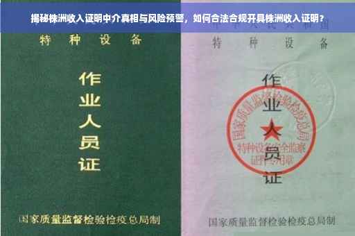 揭秘株洲收入证明中介真相与风险预警，如何合法合规开具株洲收入证明？