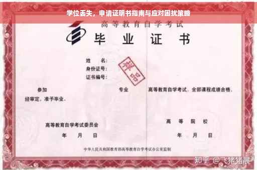 学位丢失，申请证明书指南与应对困扰策略