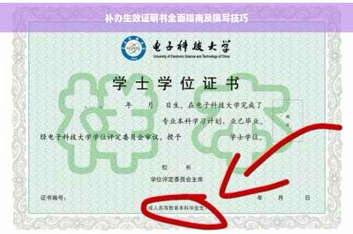 补办生效证明书全面指南及撰写技巧