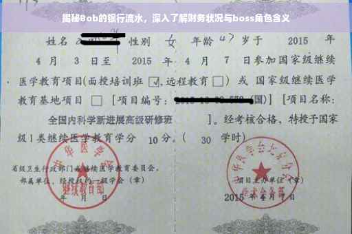 揭秘Bob的银行流水，深入了解财务状况与boss角色含义