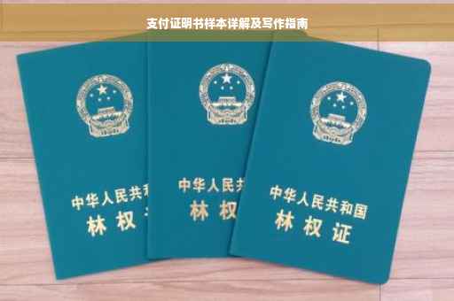 支付证明书样本详解及写作指南