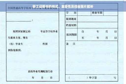 辞工证明书的格式、重要性及模板图片解析