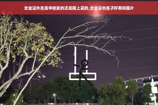 毕业证外壳是学校发的还是网上买的,毕业证书壳子好看吗图片