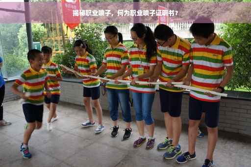 揭秘职业喷子，何为职业喷子证明书？