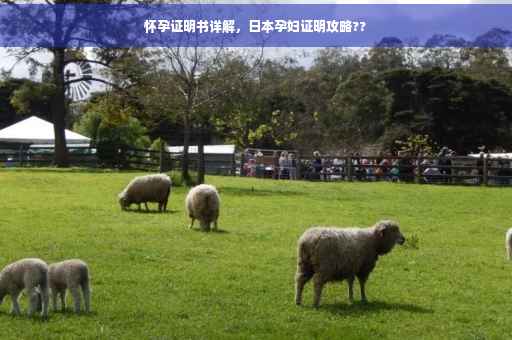 怀孕证明书详解，日本孕妇证明攻略??