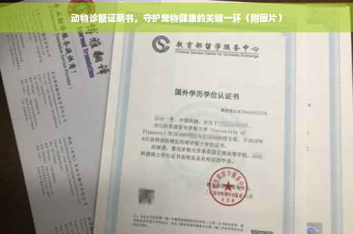 动物诊断证明书，守护宠物健康的关键一环（附图片）