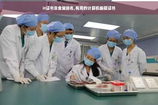 it证书含金量排名,有用的计算机编程证书