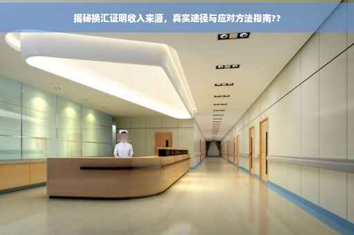 揭秘换汇证明收入来源，真实途径与应对方法指南??
